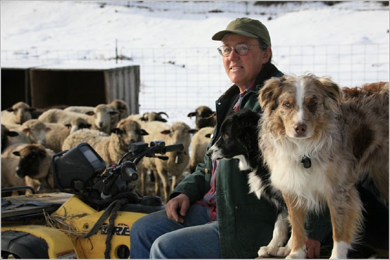 Ann with her dog Handy and some of her flock in 2008. Photo: Bing Bingham.